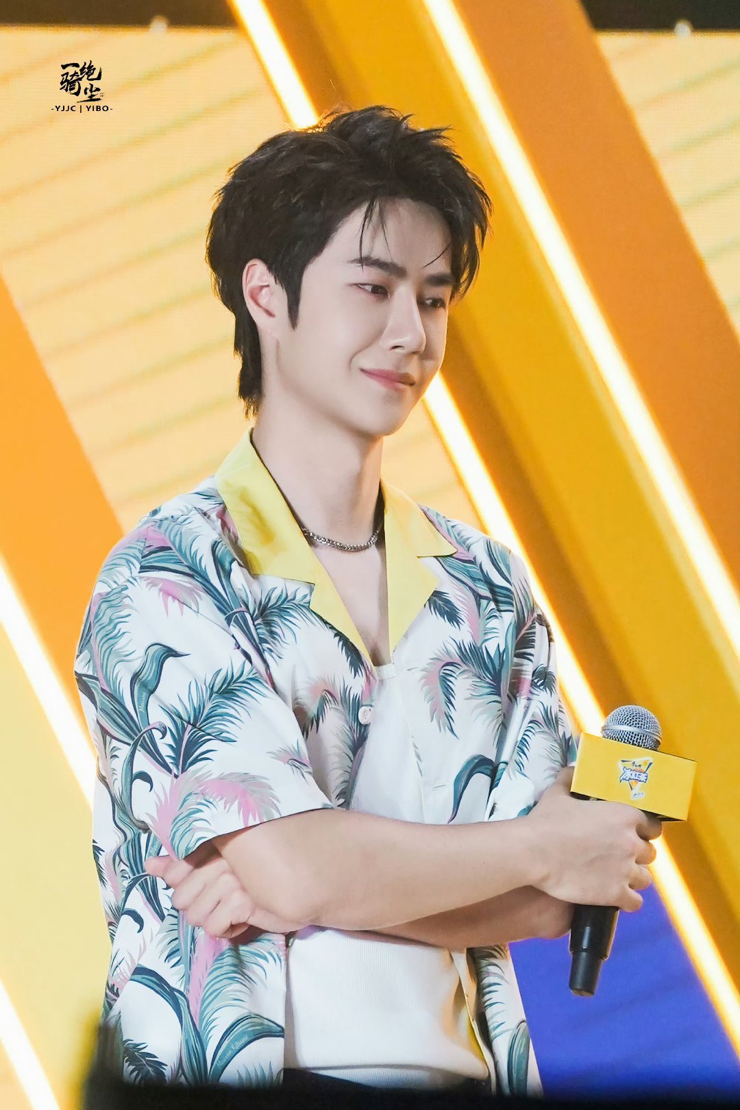 包租婆平特王中王一肖，揭秘角色魅力與背后的故事，揭秘包租婆平特王中王一肖的角色魅力與背后故事