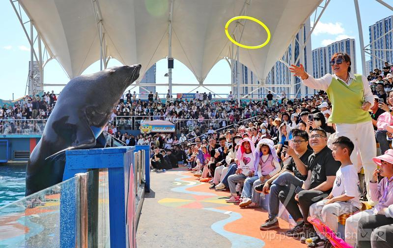 新澳2025今晚開(kāi)獎(jiǎng)結(jié)果 第4頁(yè)