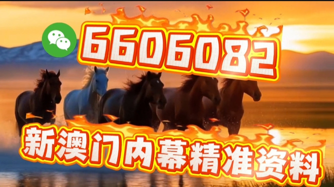 澳門今晚必開一肖一特，探索生肖彩票的魅力與預(yù)測，澳門生肖彩票探索，魅力揭秘與今晚預(yù)測一肖一特