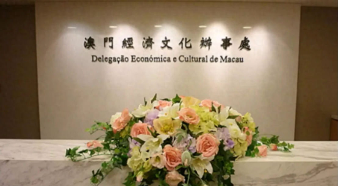 新澳門一碼一肖一待一中四不像的奧秘與探索，澳門一碼一肖一待一中四不像奧秘揭秘與探索