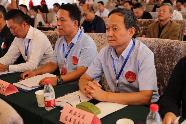 新奧精準選免費提供，探索最佳選擇與無限可能，新奧精準選，免費探索最佳選擇與無限可能