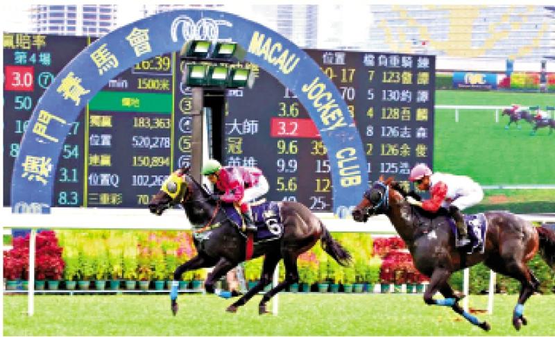 澳門賽馬會，歷史、文化與激情的交融，澳門賽馬會，歷史、文化與激情的盛會