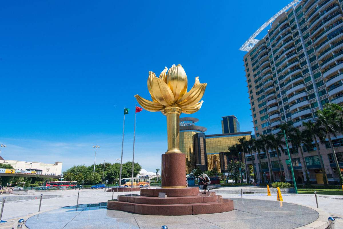 澳門一碼一肖一待一中四不像，探索與解析，澳門一碼一肖一待一中四不像，深度解析與探索