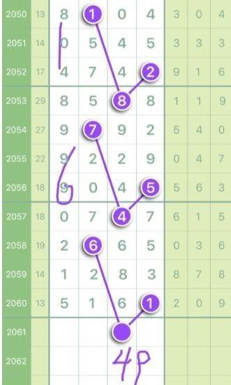 王中王資料一肖正特馬，深度解析與探索，王中王資料一肖正特馬深度解析與探索揭秘