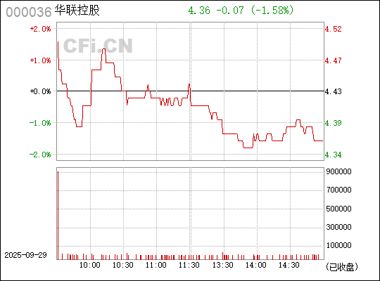 華聯(lián)控股股票，深度解析與前景展望，華聯(lián)控股股票深度解析及前景展望
