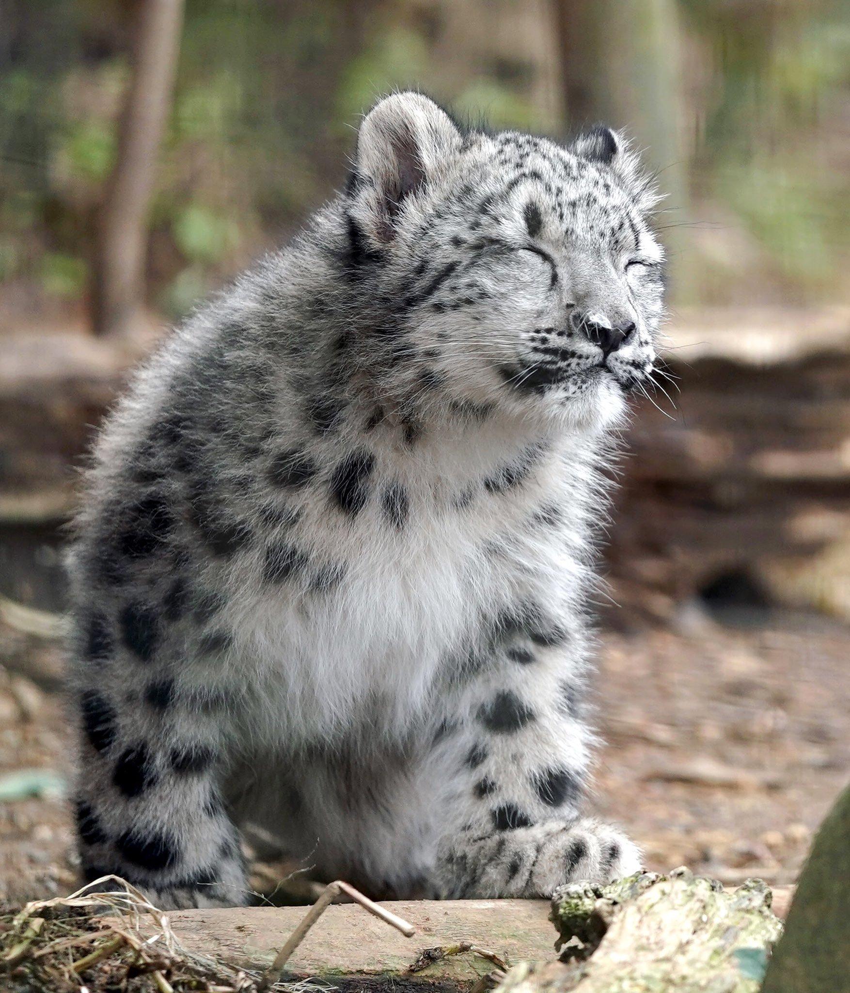 我的寶寶，成長(zhǎng)之路的探尋與關(guān)愛(ài)，寶寶成長(zhǎng)之路，探尋與關(guān)愛(ài)的旅程