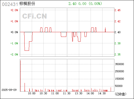 探索棕櫚股份股吧，深度解析與前景展望（股票代碼，002431），棕櫚股份深度解析與前景展望，股票代碼002431
