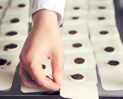 三伏貼，傳統(tǒng)中醫(yī)的獨特療法與現(xiàn)代應(yīng)用，三伏貼，傳統(tǒng)中醫(yī)的獨特療法及其現(xiàn)代應(yīng)用探索