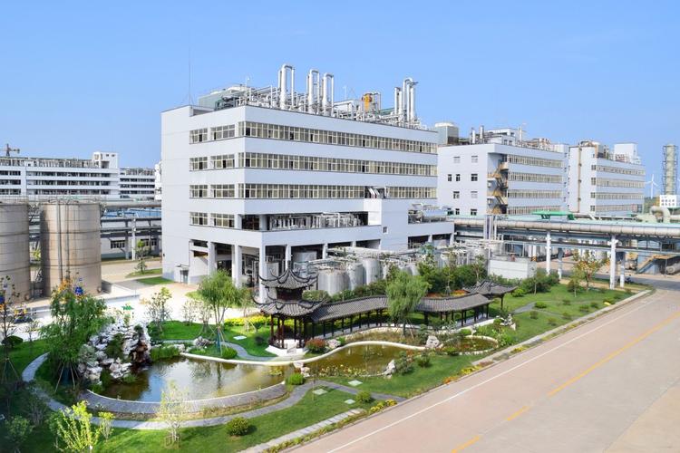 揚農(nóng)化工，卓越化工，引領未來，揚農(nóng)化工，卓越化工，引領未來之路