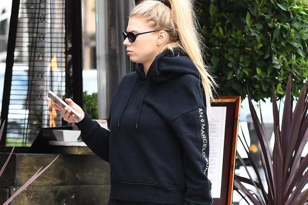 四不像一肖圖王中王，揭秘背后的奧秘與獨特魅力，揭秘四不像一肖圖王中王的奧秘與獨特魅力