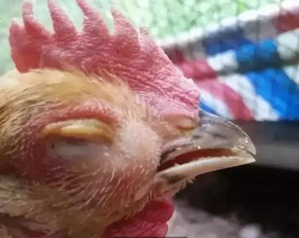 一覺(jué)醒來(lái)一只眼睛突然腫脹的原因及應(yīng)對(duì)方法，一覺(jué)醒來(lái)一只眼睛腫脹的原因與應(yīng)對(duì)方法解析