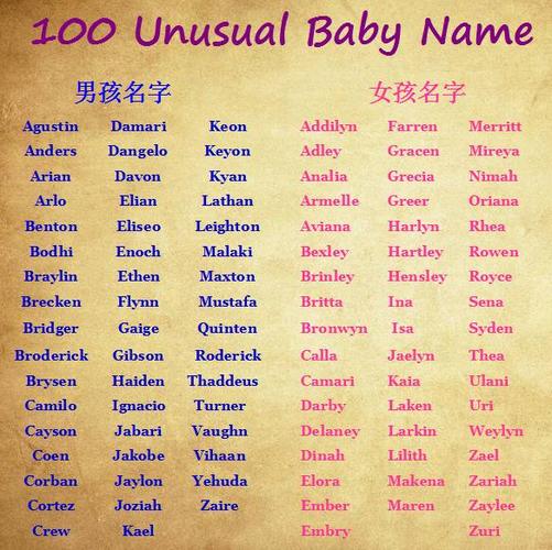 關于各叫什么名字的SEO文章，SEO文章，名字解析與優(yōu)化策略指南