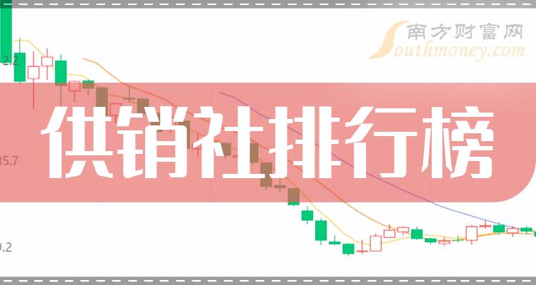 供銷概念股，解析與前景展望，供銷概念股，深度解析與未來前景展望