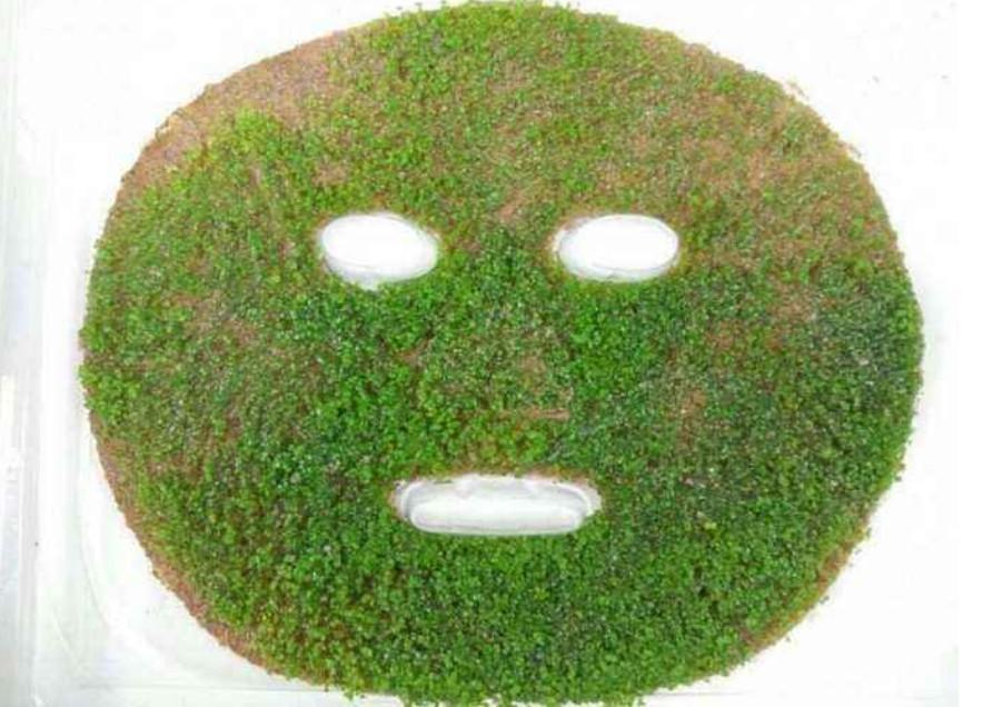 海藻面膜可以天天敷嗎？——深度解析海藻面膜的使用頻率與注意事項，海藻面膜的使用頻率與注意事項解析，能否天天敷海藻面膜？