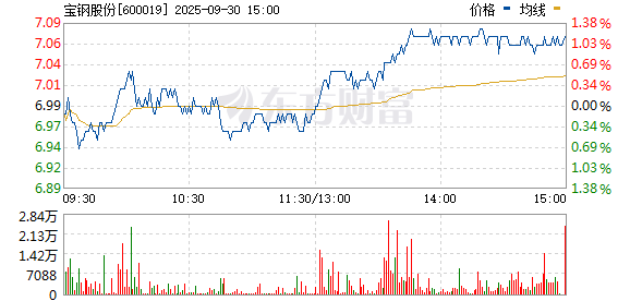寶鋼股份股票600019，深度解析與市場(chǎng)前景展望，寶鋼股份股票600019深度解析及市場(chǎng)前景展望