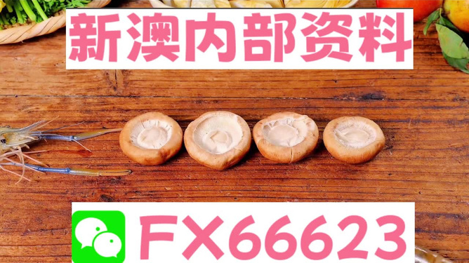 新澳全年免費(fèi)資料大全——探索與學(xué)習(xí)資源的寶庫，新澳全年免費(fèi)資料大全，探索與學(xué)習(xí)資源的終極寶庫