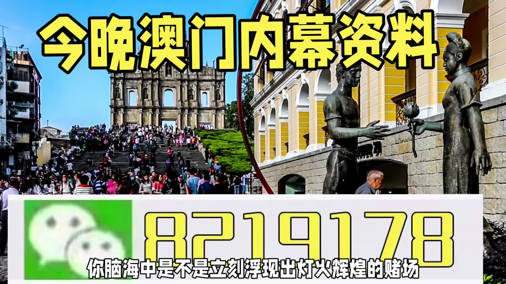 新澳門一肖一特一中，探索與解讀，新澳門一肖一特一中，深度探索與解讀