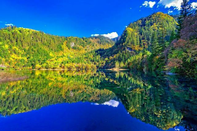 九寨溝五花海，自然之美的巔峰體驗(yàn)，九寨溝五花海，自然巔峰之美的極致體驗(yàn)