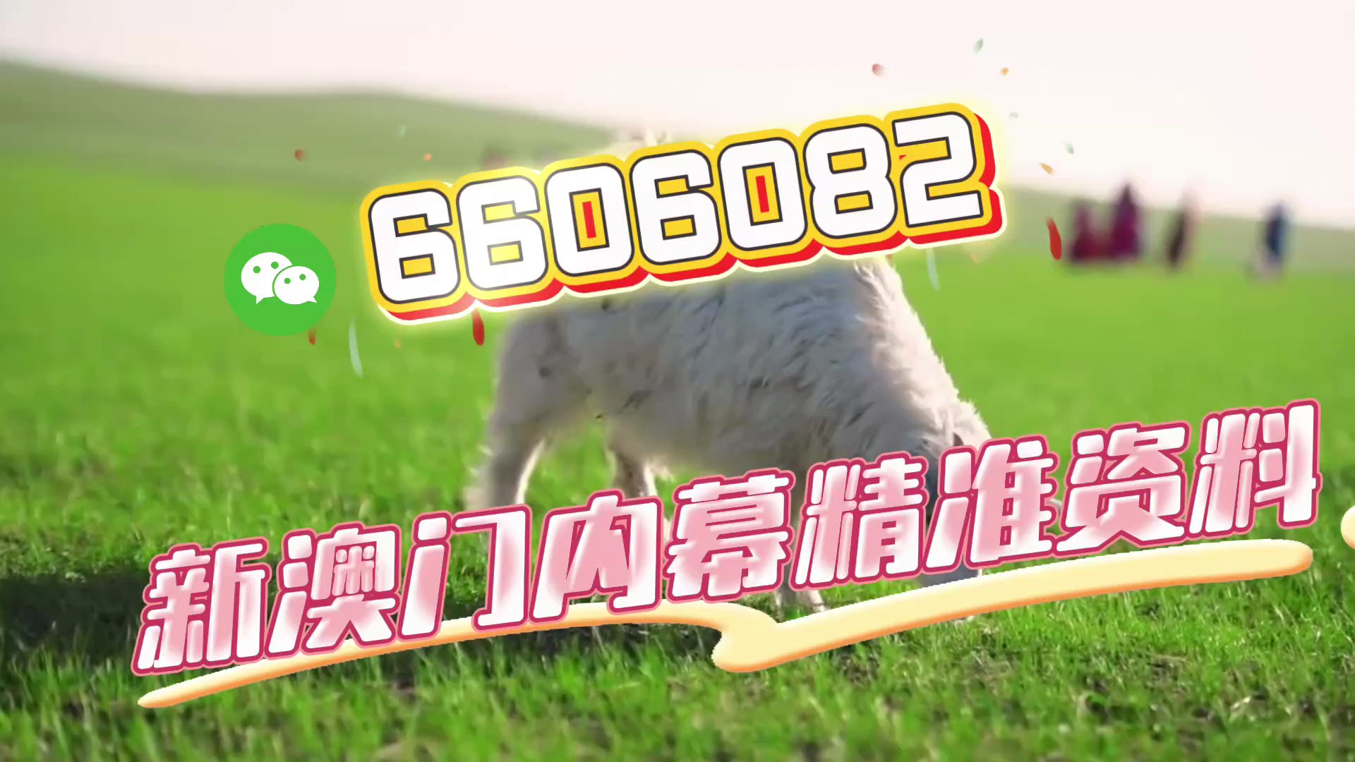 澳門一肖一碼準選今晚，揭秘彩票預(yù)測的秘密與策略，澳門彩票預(yù)測揭秘，今晚一肖一碼準選策略與秘密