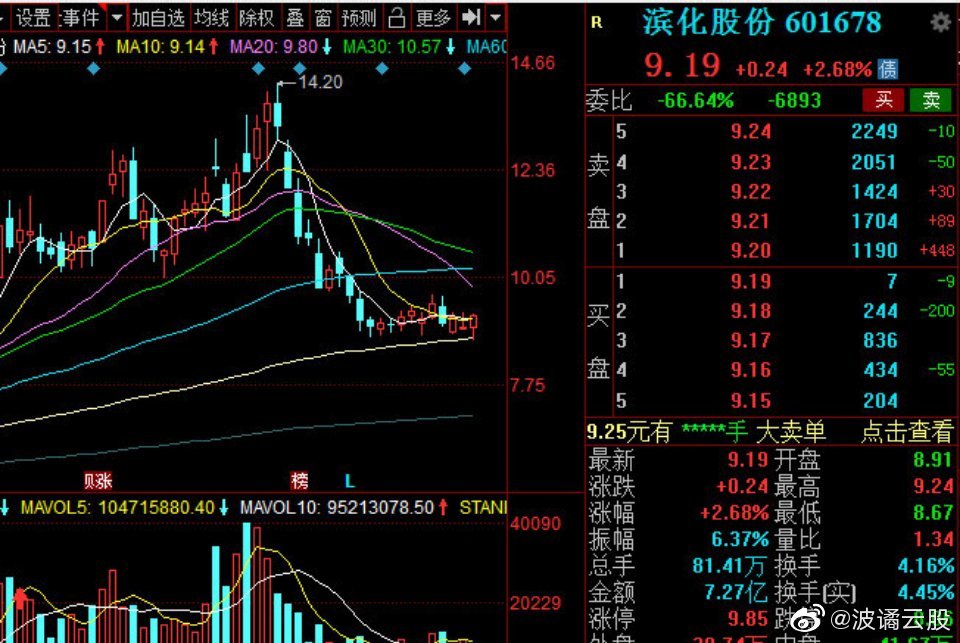 濱化股份股票，深度解析與前景展望，濱化股份股票深度解析及前景展望