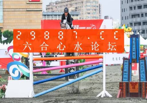 王中王論壇心水平特一肖，深度解析與探索，王中王論壇心水平特一肖深度解析與探索報告