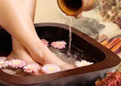 降尿酸最好的中草藥，天然療法助你遠離高尿酸困擾，天然中草藥助力降低尿酸，遠離高尿酸的秘訣