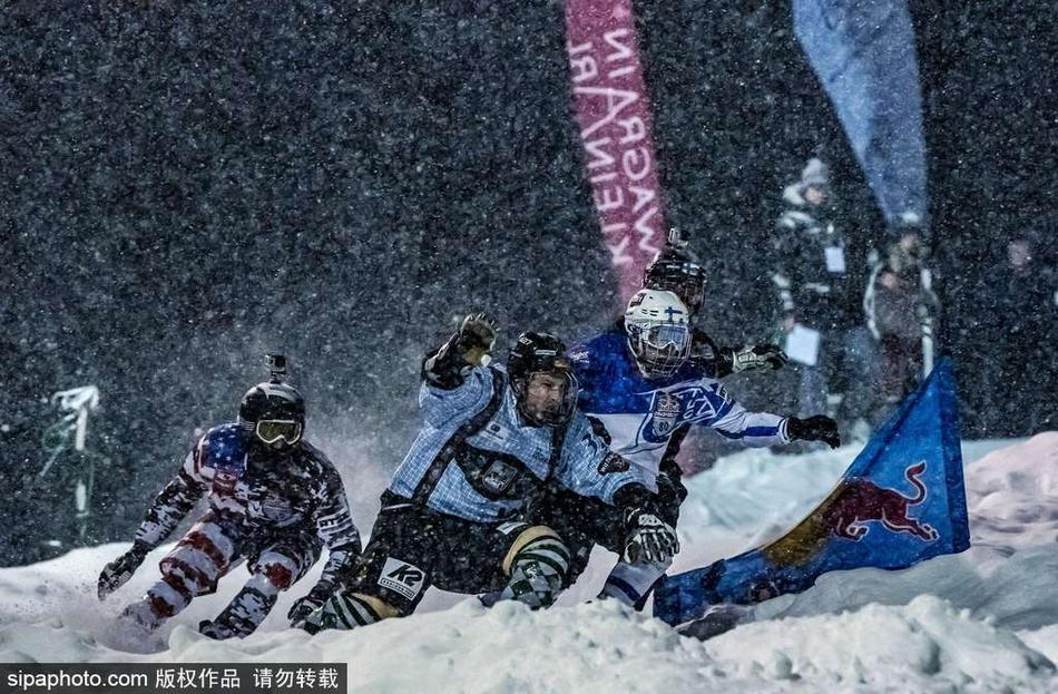 揭秘劉伯溫三肖必選一肖的神秘預測，劉伯溫三肖預測揭秘，神秘一肖必選之謎