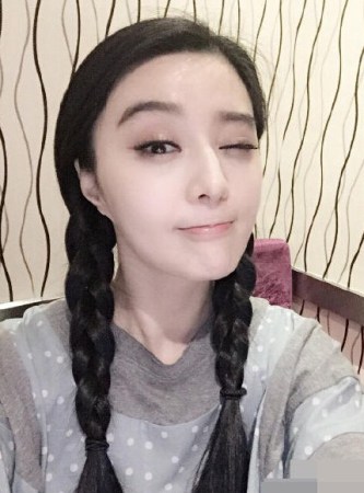 范冰冰個人資料簡介及影響力探討，范冰冰個人資料簡介與影響力深度探討