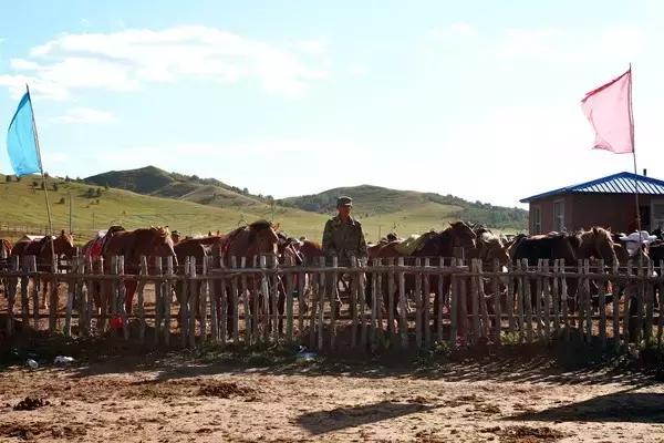 去內蒙古旅游攻略，內蒙古旅游攻略大全，探索草原之美