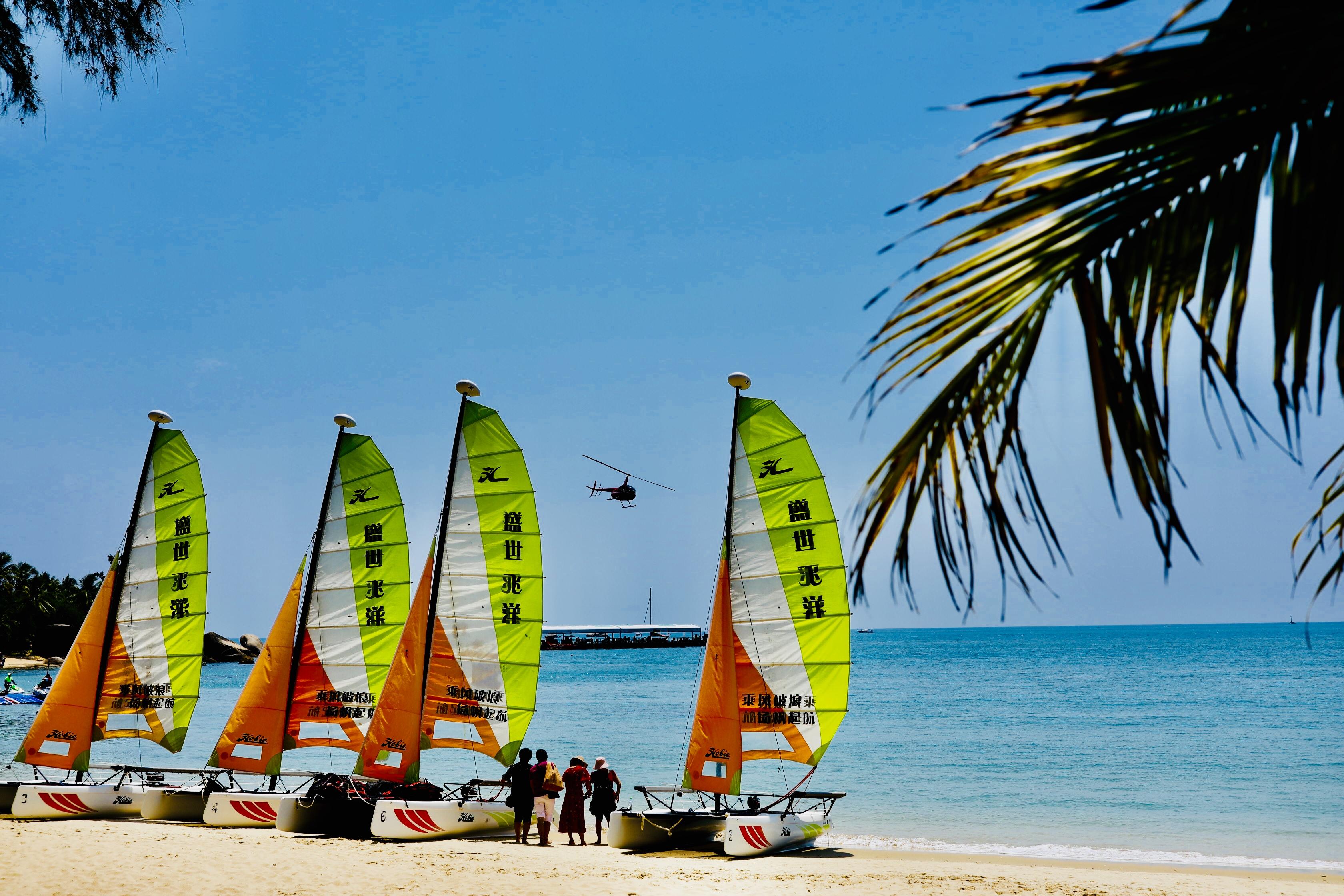 天涯社區(qū)軍事論壇，深度解析與SEO優(yōu)化策略，天涯社區(qū)軍事論壇深度解析與SEO優(yōu)化策略探討