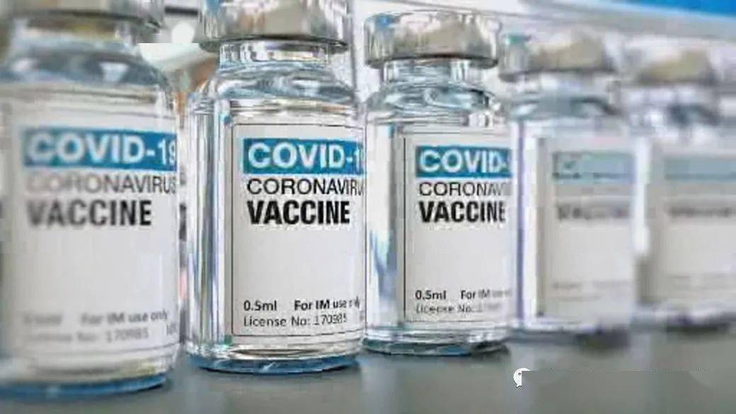 王中王解一肖特，揭秘生肖魅力與獨特之處，揭秘生肖魅力與獨特之處，王中王解讀一肖特