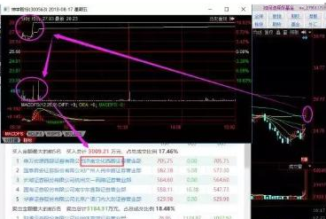 探索300563股吧的獨(dú)特魅力與機(jī)遇，揭秘300563股吧，獨(dú)特魅力與無限機(jī)遇