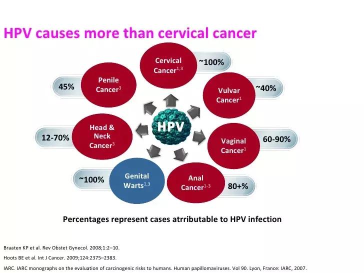 HPV52陽(yáng)性可以自愈嗎？詳解HPV感染與身體康復(fù)之路，HPV52陽(yáng)性能否自愈？HPV感染與身體康復(fù)的詳解之路