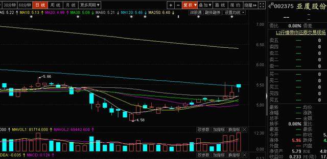 股票300279，深度解析與市場前景展望，股票300279深度解析與前景展望，市場趨勢及策略建議