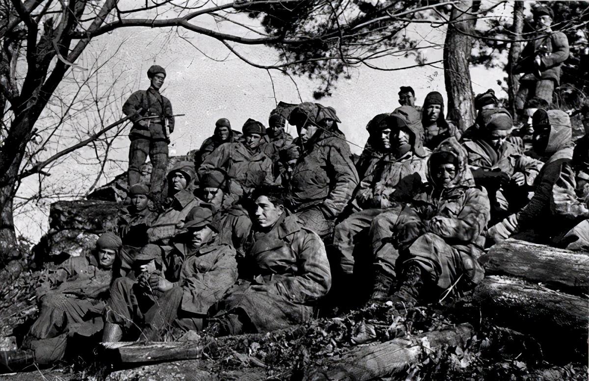 王中王119期指一生肖，深度解析與預(yù)測(cè)，王中王119期生肖深度解析與預(yù)測(cè)，揭秘未來(lái)走向