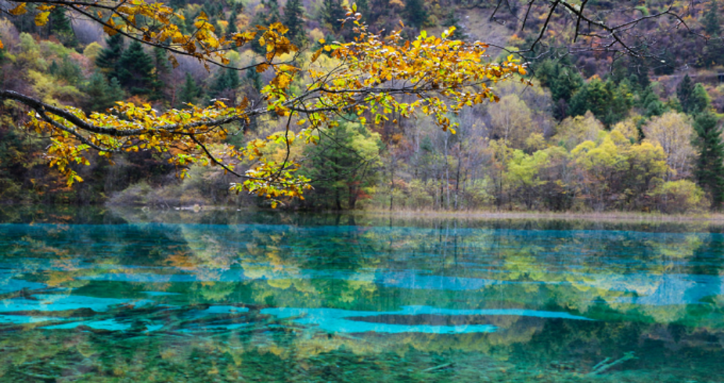 九寨溝天氣預(yù)報(bào)未來30天，探索美景前的天氣準(zhǔn)備，九寨溝未來30天天氣預(yù)報(bào)，出游前必看，做好天氣準(zhǔn)備盡享美景