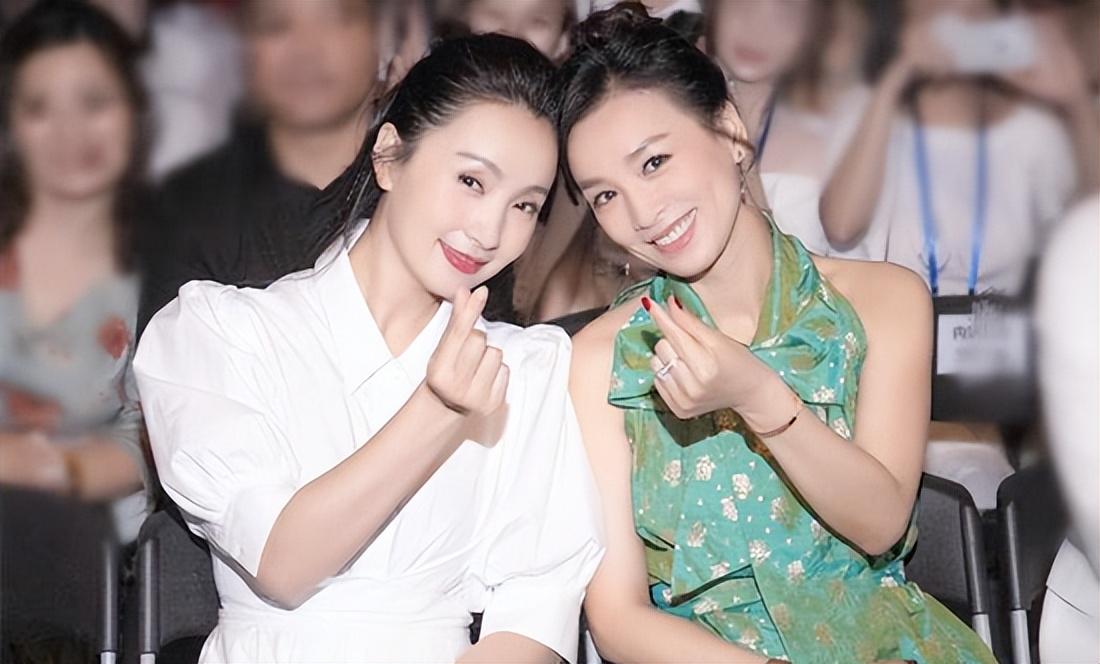 陶虹張庭事件，深度解析背后的真相與影響，陶虹張庭事件深度揭秘，真相與影響探究