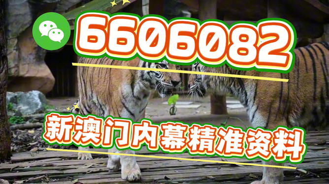 澳門今晚必開一肖一特，探索生肖彩票的魅力與預(yù)測，澳門生肖彩票探索，魅力揭秘與今晚預(yù)測一肖一特