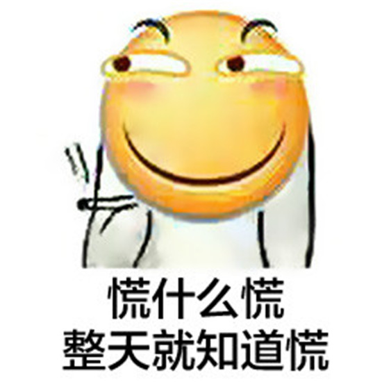 我就在外面蹭一蹭嗶哩嗶哩——探索、體驗與社交媒體的新視角，社交媒體新視角，探索與體驗在嗶哩嗶哩的蹭一蹭之旅