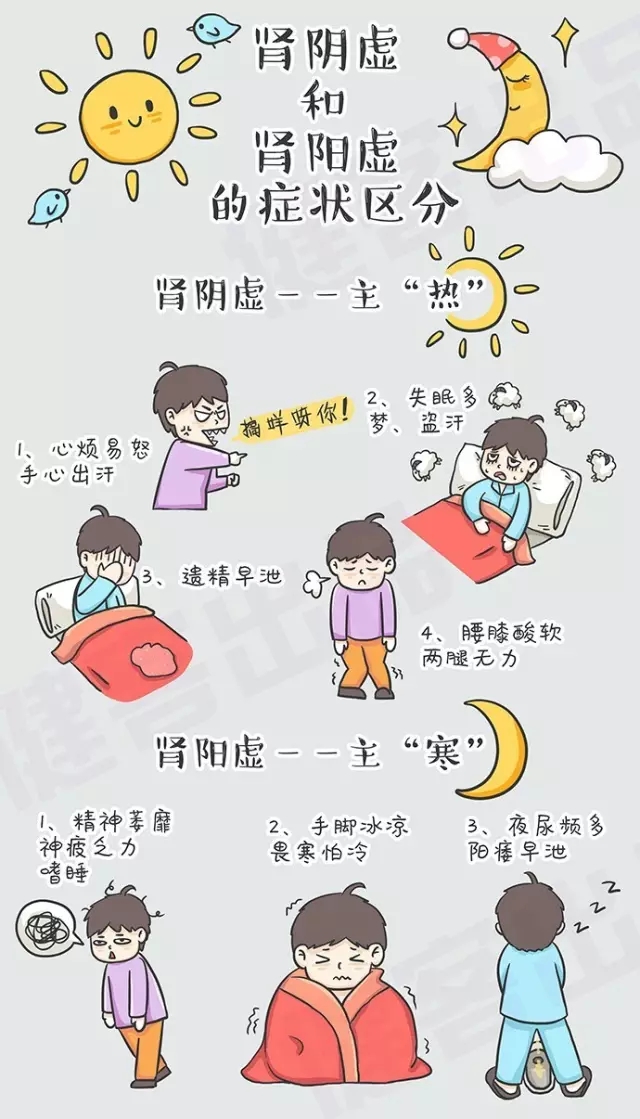 解析腎陰虛與腎陽虛，兩者之間的區(qū)別及理解，腎陰虛與腎陽虛，解析其區(qū)別與理解