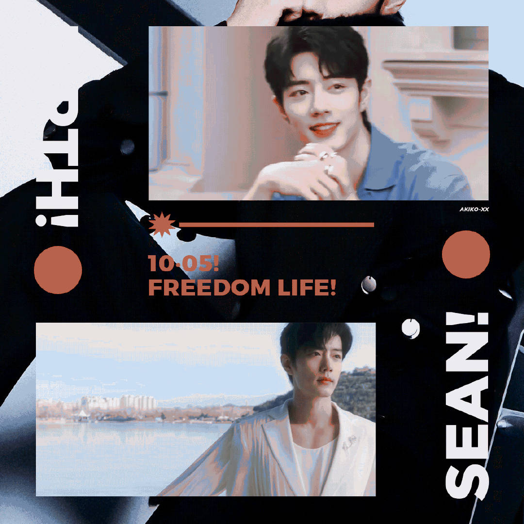 一肖一碼一一肖一子，揭秘生肖與數(shù)字之間的神秘聯(lián)系，揭秘生肖與數(shù)字之間的神秘關(guān)聯(lián)，一肖一碼與子生肖的奧秘