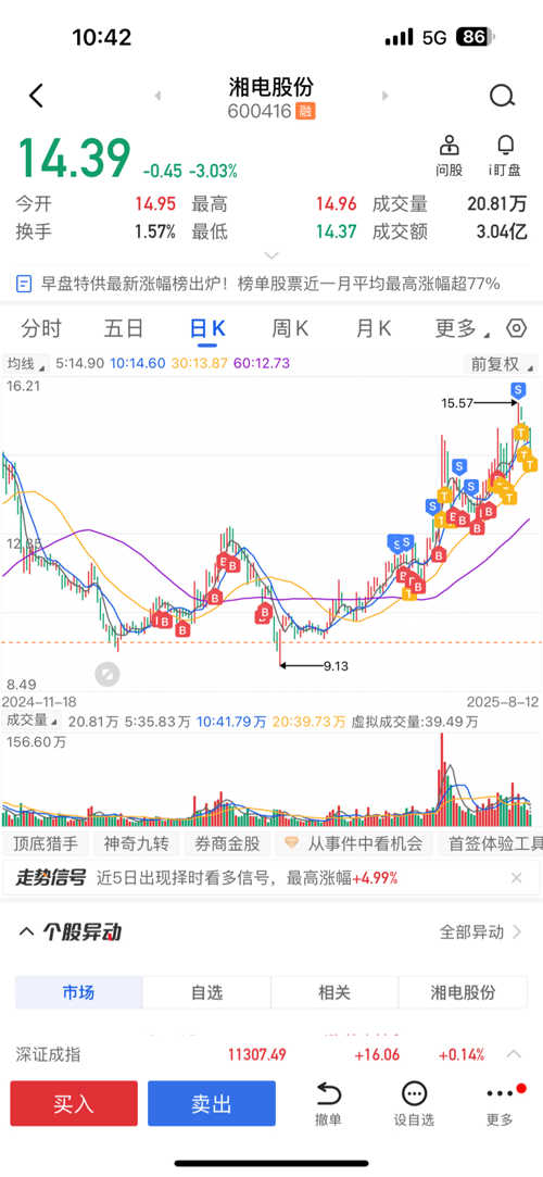 湘電股份股票，深度解析與前景展望，湘電股份股票深度解析及前景展望