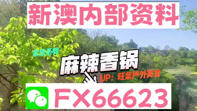 新澳資料最準(zhǔn)的網(wǎng)站，權(quán)威數(shù)據(jù)來源與精準(zhǔn)信息獲取指南，新澳資料最準(zhǔn)網(wǎng)站，權(quán)威數(shù)據(jù)來源與精準(zhǔn)信息獲取一站式指南