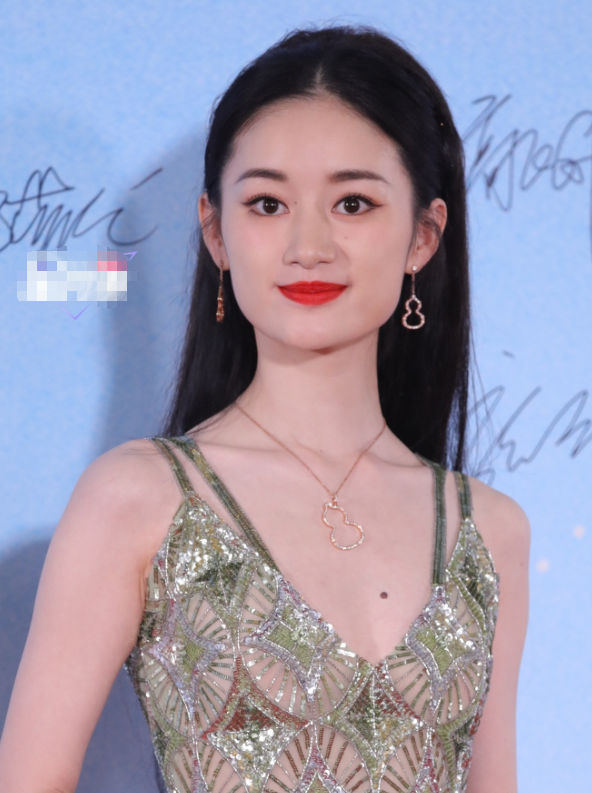 倪萍的歲數(shù)，歲月見證傳奇人生的歷程，倪萍的傳奇人生，歲月見證年齡與魅力