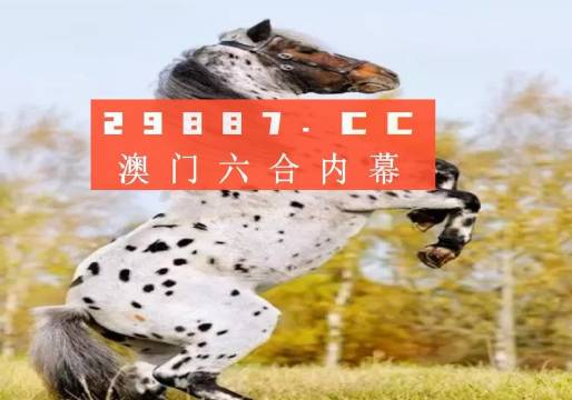 白小姐三碼三期必出一期嗎——揭秘真相與理性思考，揭秘白小姐三碼三期，真相與理性思考的重要性