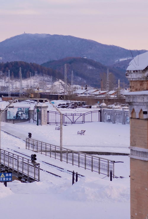 哈爾濱周邊旅游景點(diǎn)大揭秘，哈爾濱周邊旅游勝地大揭秘