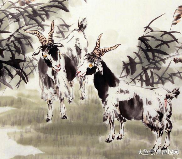 澳門最快開獎六開生肖，揭秘彩票背后的秘密，澳門六開生肖彩票背后的秘密揭曉