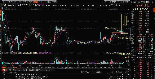 股票投資新寵，揭秘股票002178的潛力與價(jià)值，股票投資新星，揭秘股票002178的潛力與價(jià)值展望
