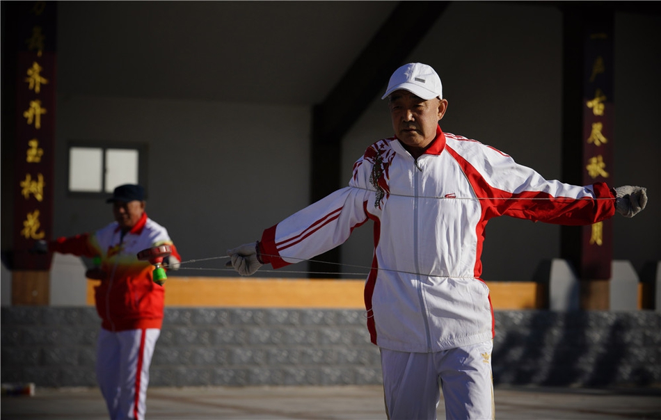 揭秘必中一肖劉伯溫四不像，神秘傳奇背后的真相，揭秘劉伯溫四不像背后的神秘傳奇真相