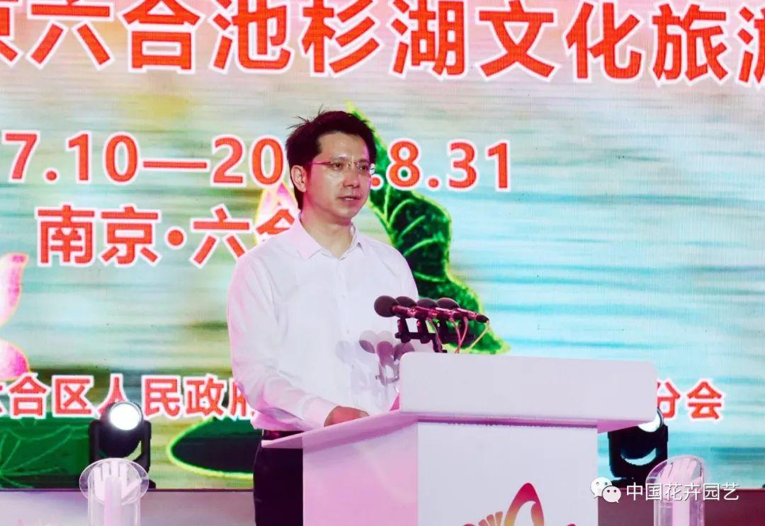 澳門六會65期開獎結(jié)果詳解，澳門六會第65期開獎結(jié)果深度解析